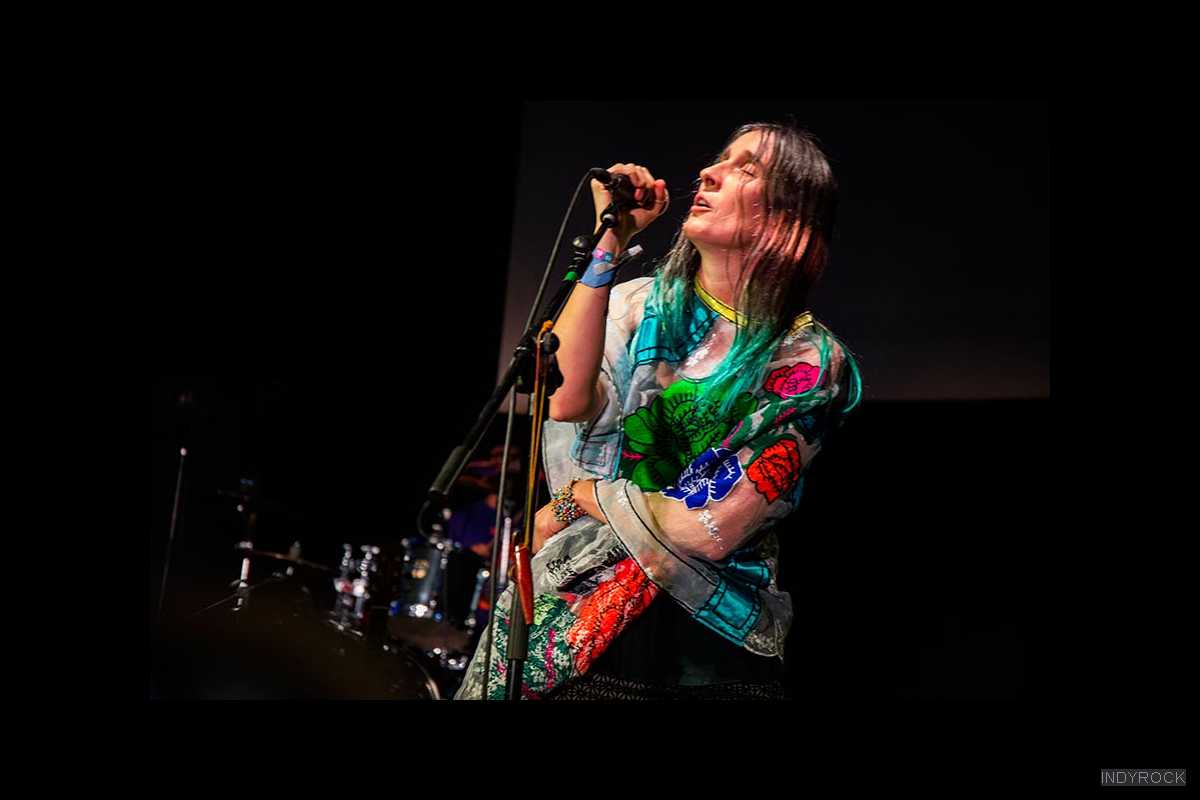 aterciopelados-2016-003
