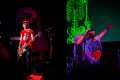 aterciopelados-2016-006