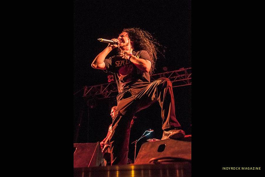 Avulsed-DSC_7344