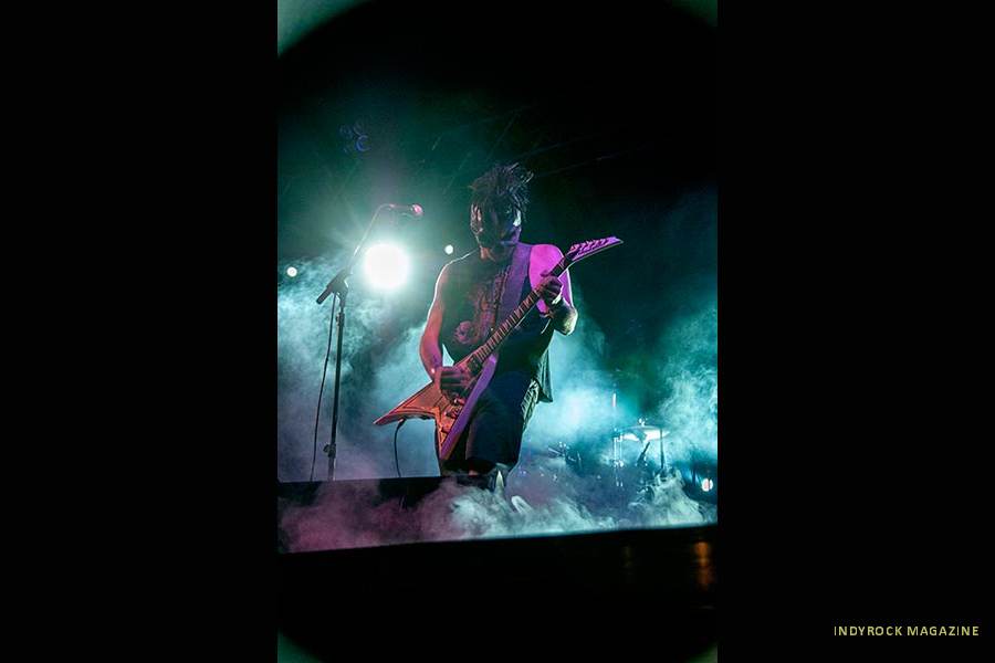 Gomad-Monster---DSC_7519