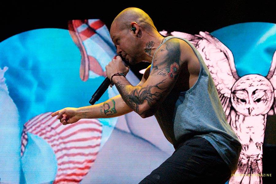 calle1301