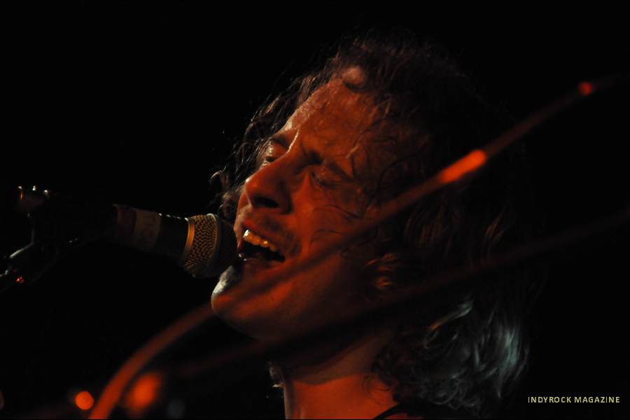 deertick1