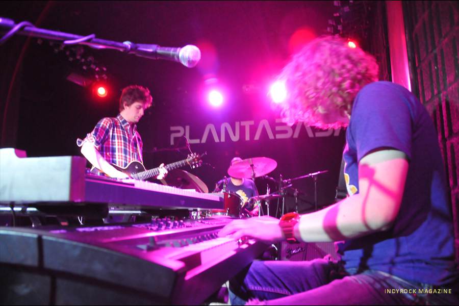deertick32