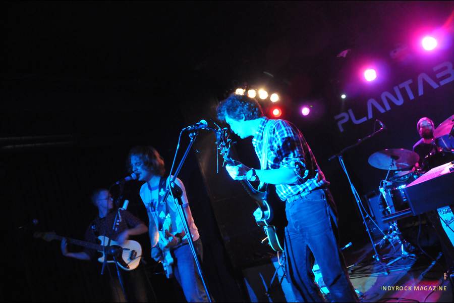 deertick4