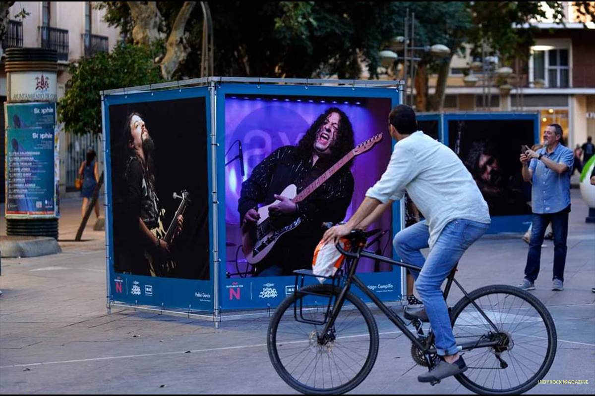exposicion-guitarras-1