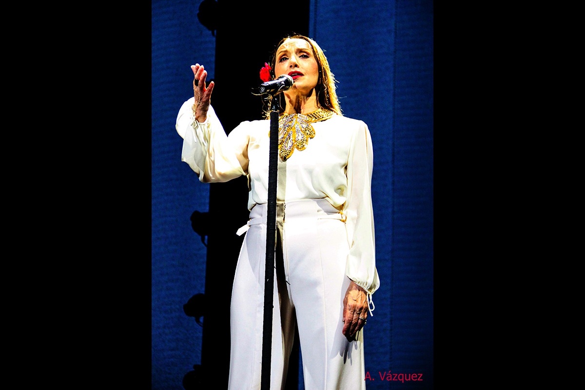 Luz_FestivalGuitarraCordoba_2026_08