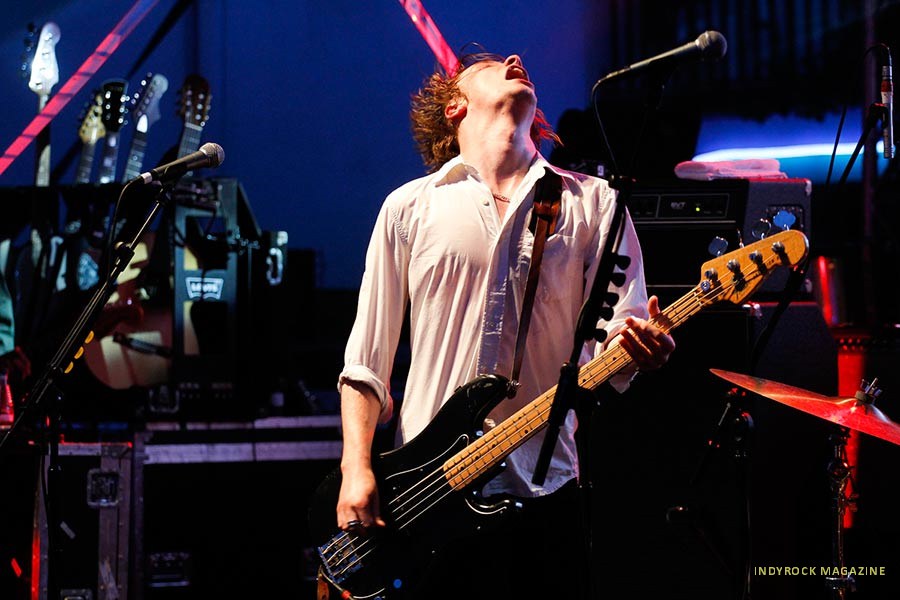 palmaviolets1
