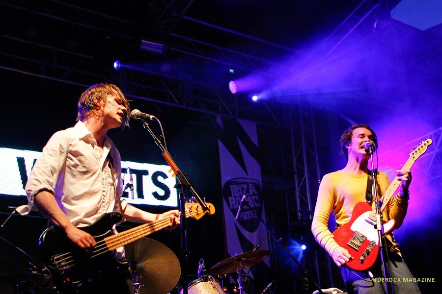 palmaviolets14