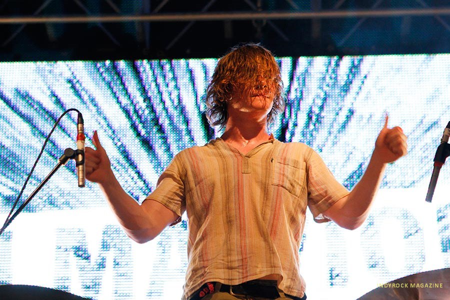palmaviolets15