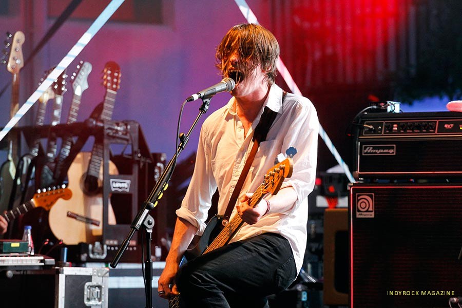 palmaviolets2