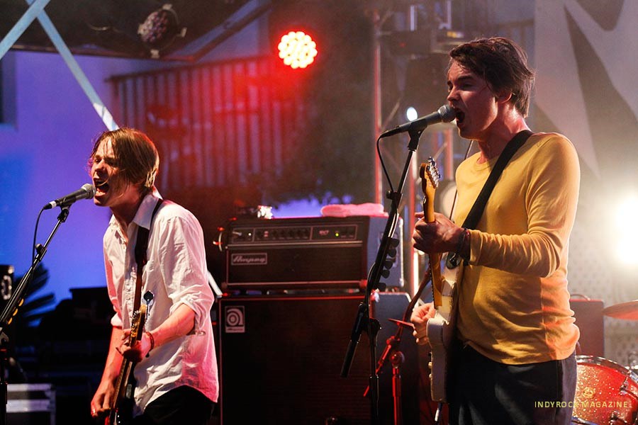 palmaviolets3