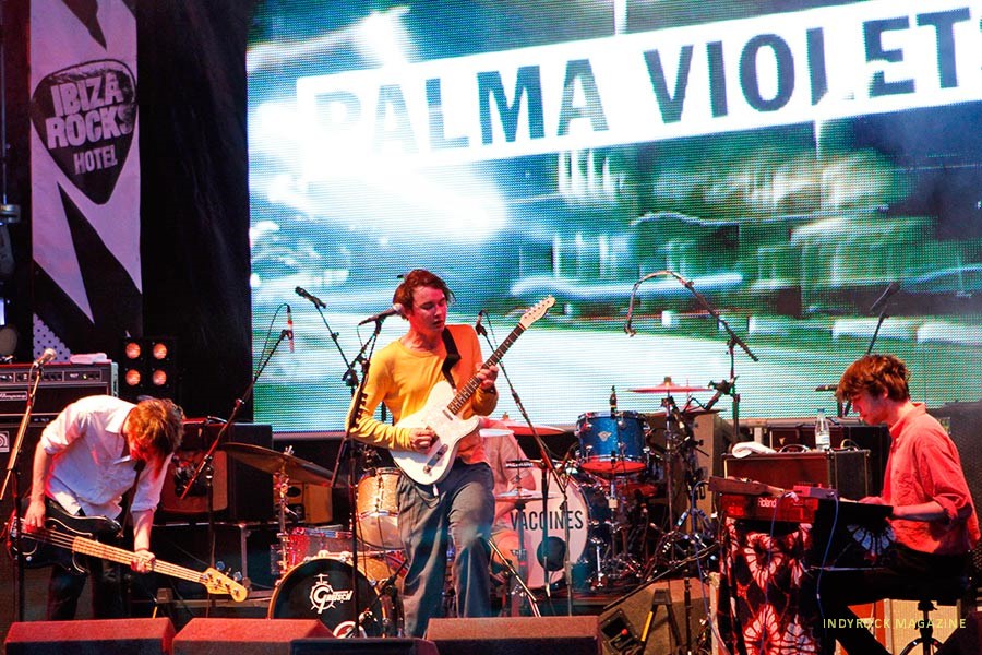 palmaviolets4