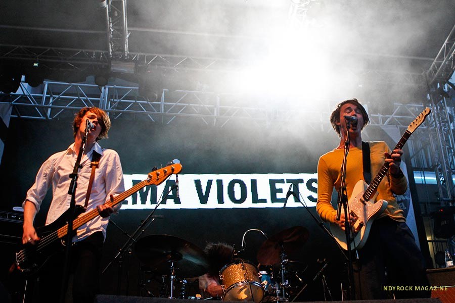 palmaviolets6