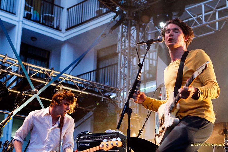 palmaviolets7