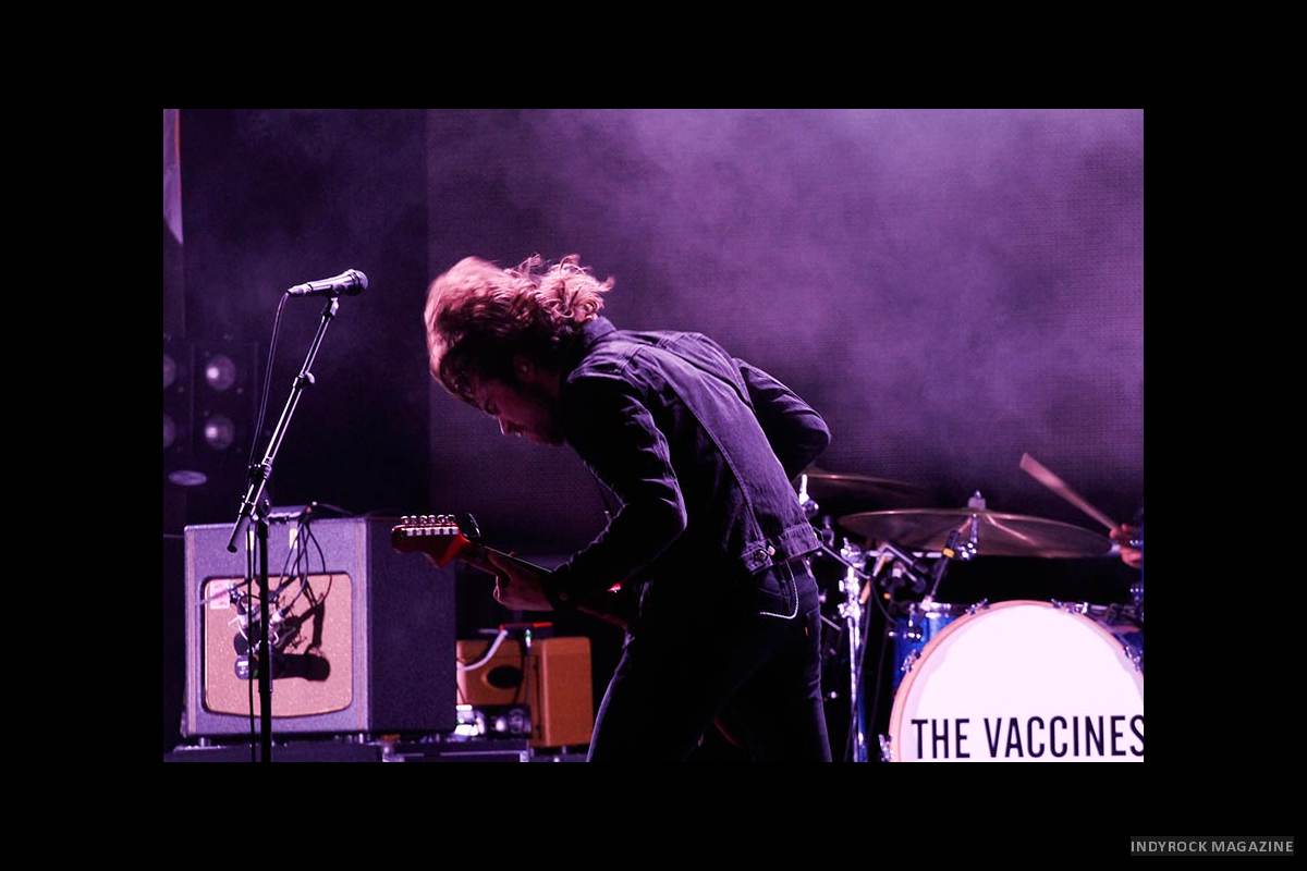 thevaccines-2013-1