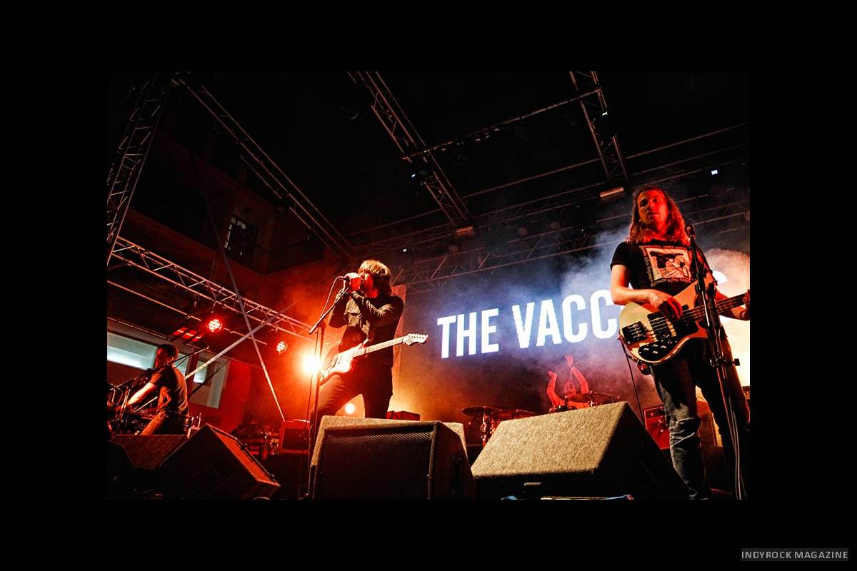 thevaccines-2013-6