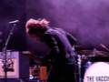 thevaccines-2013-1