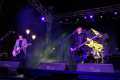 Lagartija-Nick-Alfredo_Aguilar-12