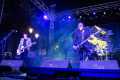 Lagartija-Nick-Alfredo_Aguilar-13