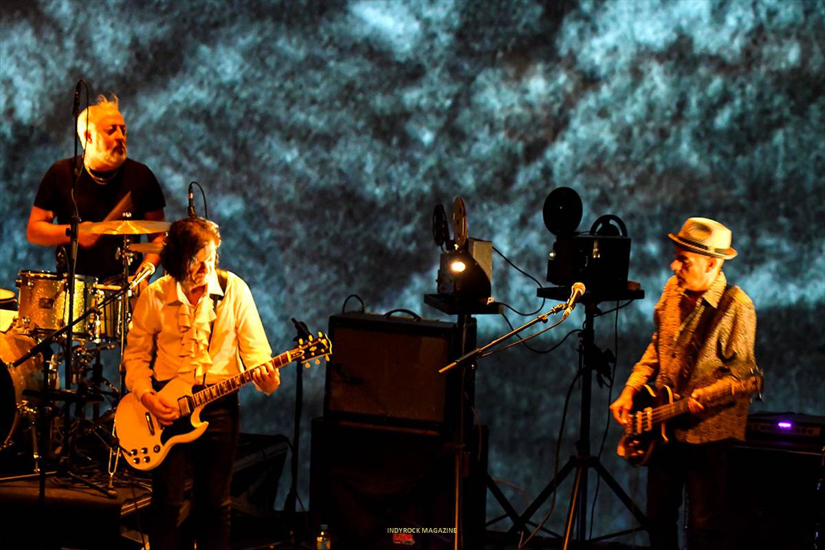 LagartijaNick01