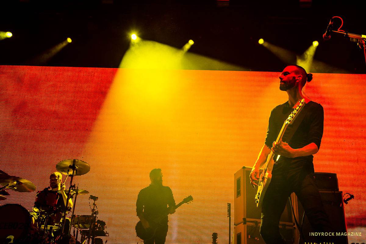 placebo-2017-logrono-014