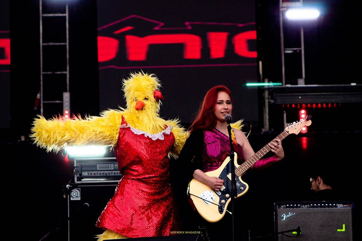Las_ultrasonicas_03