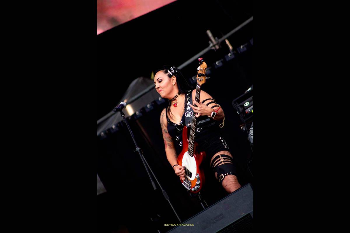Las_ultrasonicas_06