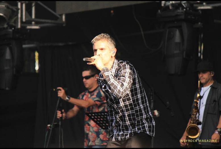 RockAlParque35los-cafres