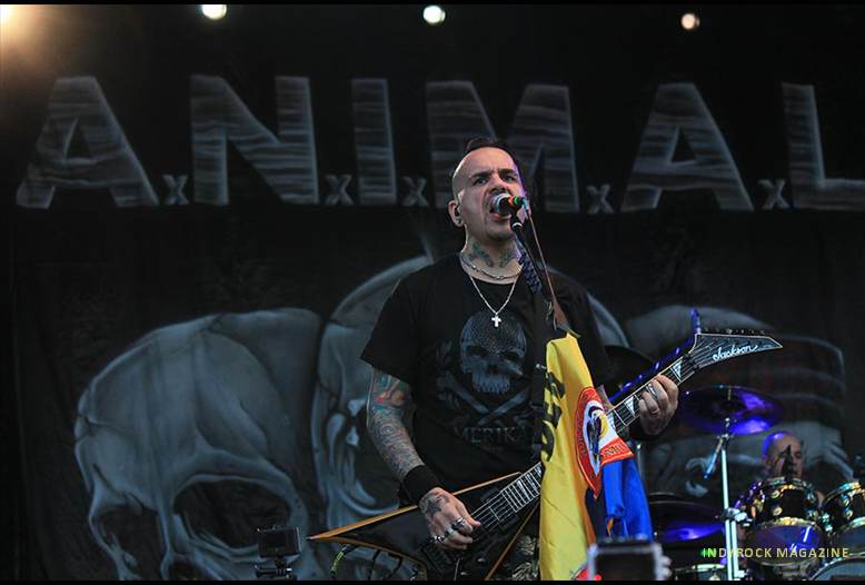 RockAlParque37animal
