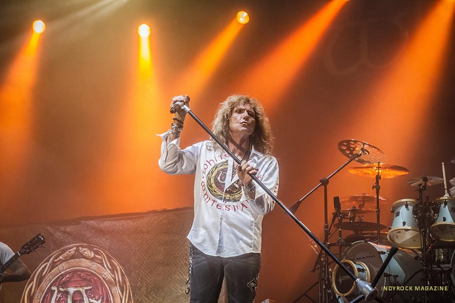 whitesnake