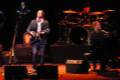 rufuswainwright-panoramica
