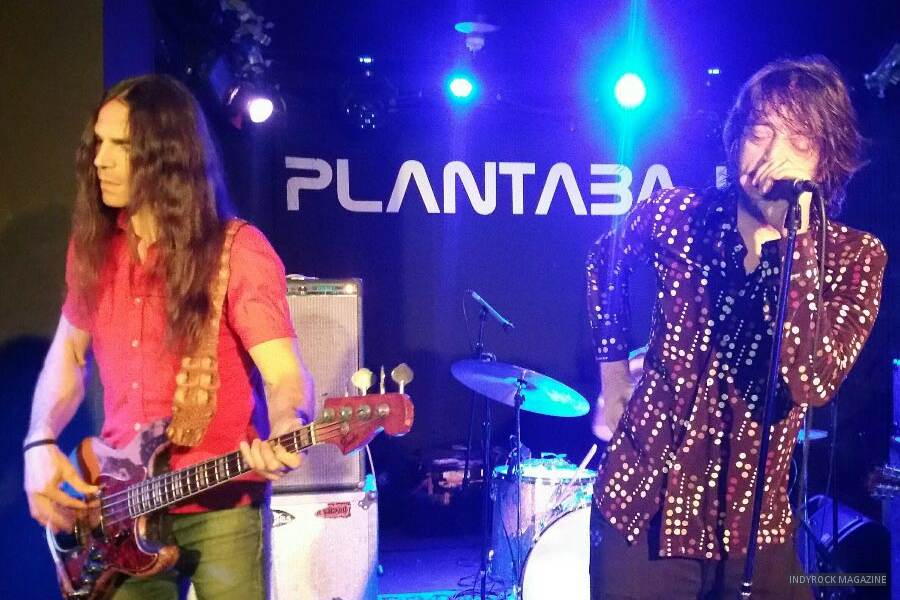 SEX MUSEUM * PLANTA BAJA 2017 * FOTO: FRAN KARMONA