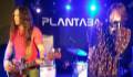 SEX MUSEUM * PLANTA BAJA 2017 * FOTO: FRAN KARMONA