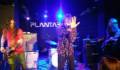 SEX MUSEUM * PLANTA BAJA 2017 * FOTO: FRAN KARMONA