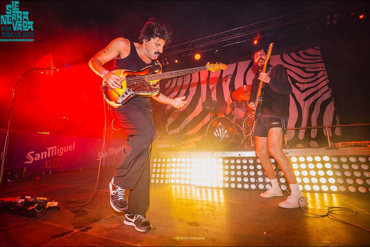 SEXY-ZEBRAS-006-0158