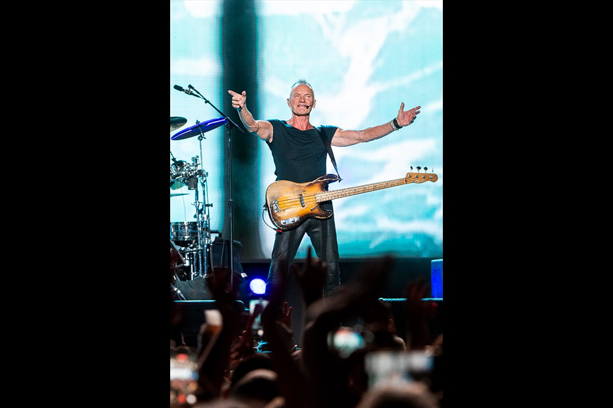 sting-_52