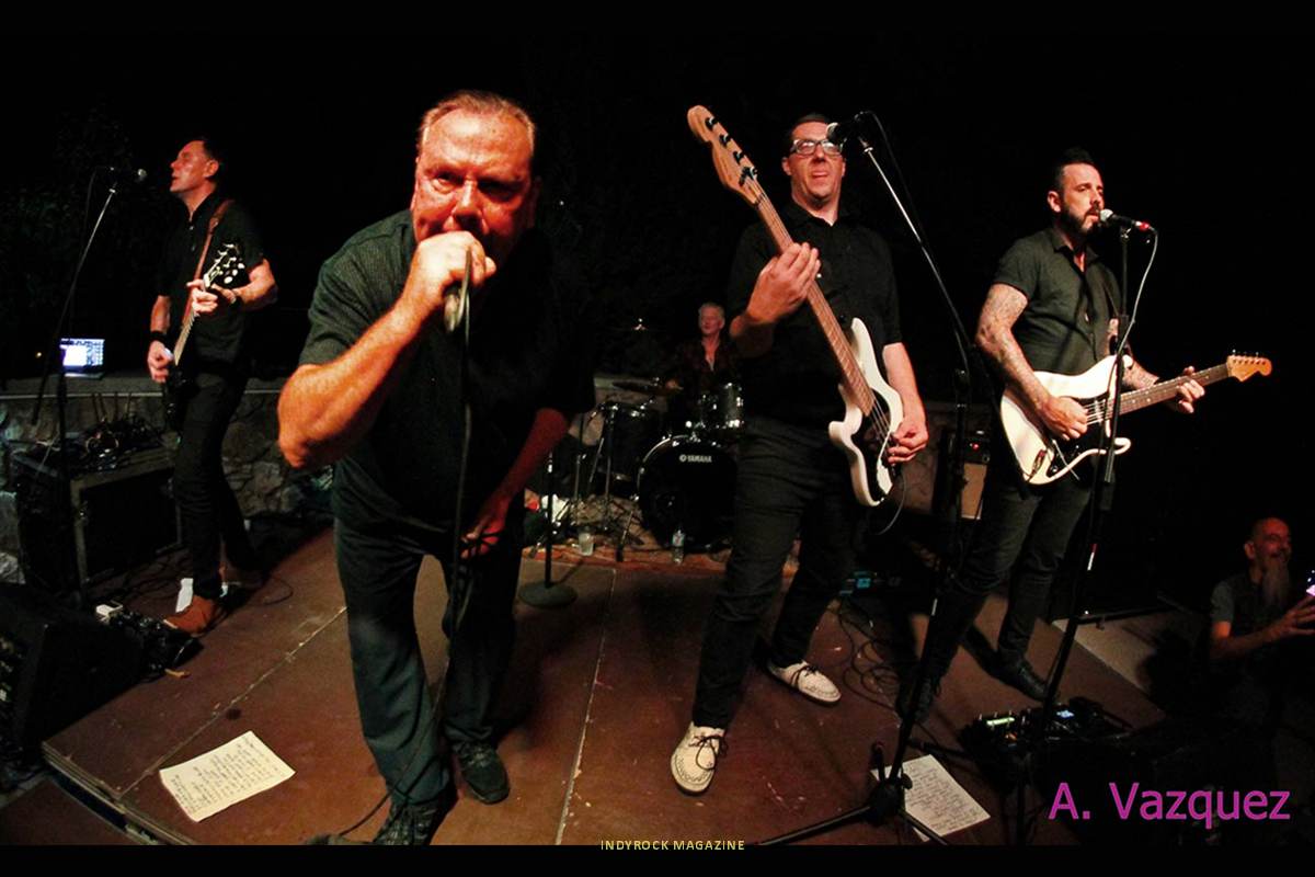 The-Godfathers-03