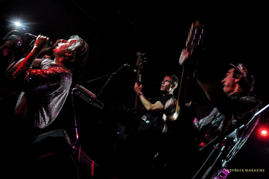 thefleshtones100
