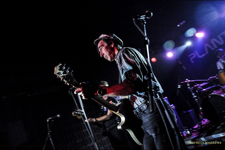 thefleshtones115