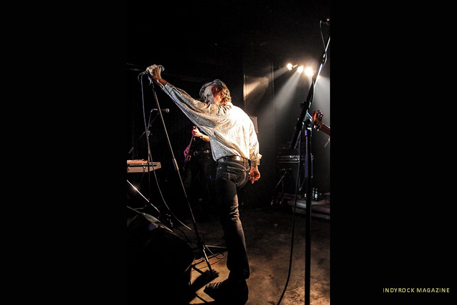 thefleshtones119