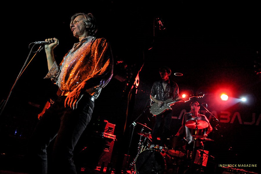 thefleshtones19