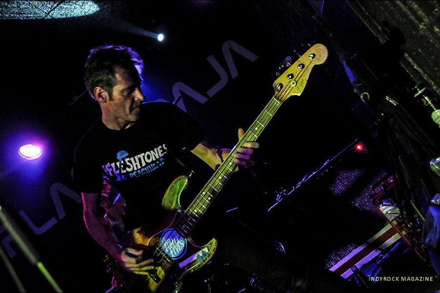 thefleshtones41