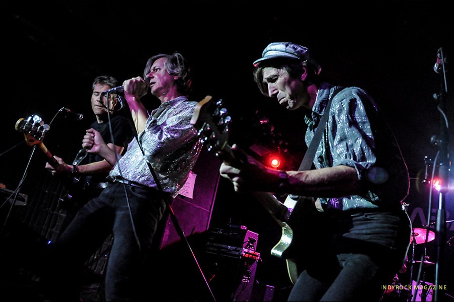 thefleshtones65