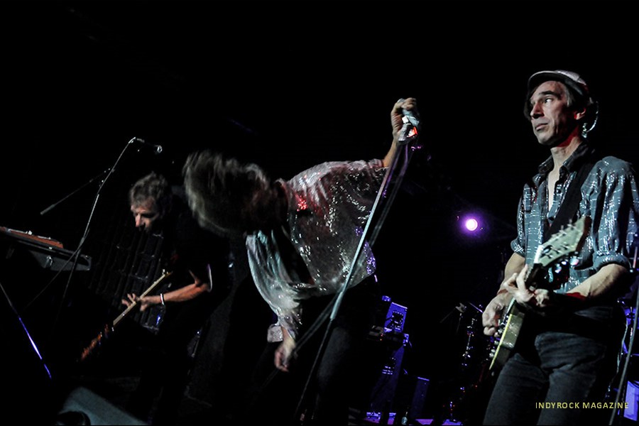thefleshtones79