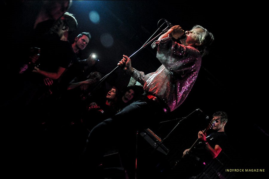 thefleshtones97