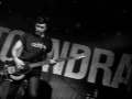 Toundra_0067