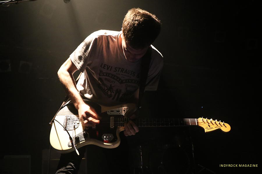 wolfalice01