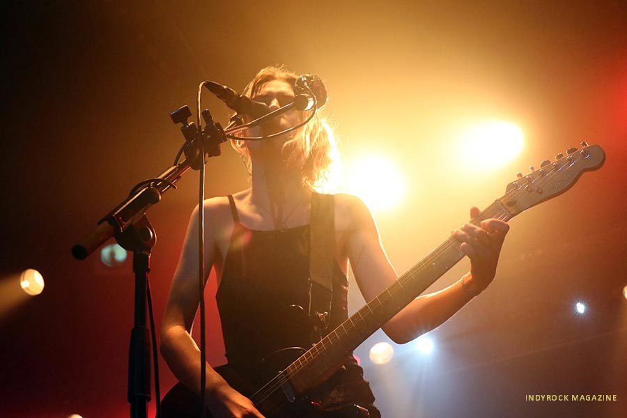 wolfalice03