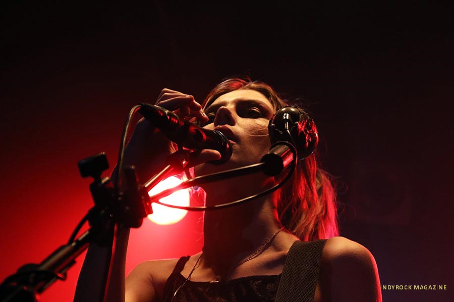 wolfalice04