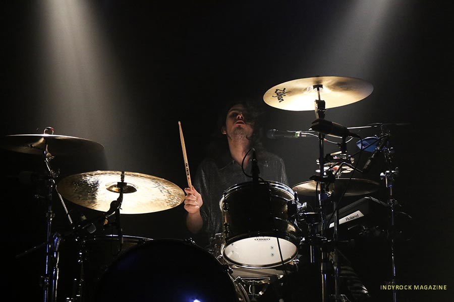wolfalice06
